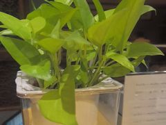 -顺兴老茶馆·精品川菜(世纪城店)