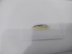 -Wax Brow蜜蜡脱毛美甲美睫眉吧