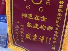 -达爱动物医院·犬猫分区·CT·复杂眼科(远洋山水分院)