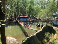 -东方巨龟苑景区