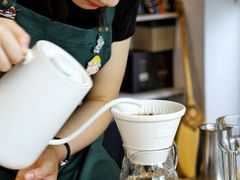 巴布亚新几内亚天堂鸟-默迹咖啡馆