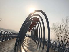 -大兴滨河森林公园