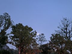 -浙江大学(紫金港校区)