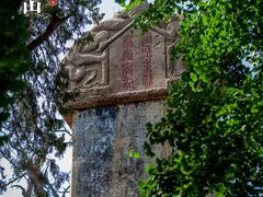 -泰山花样年华景区