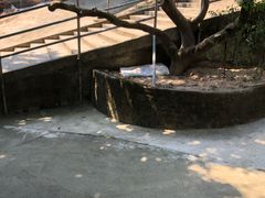 -满記土窑烧鷄波浪山莊