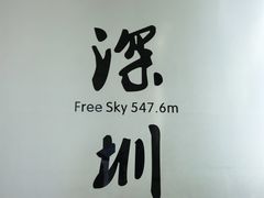 -平安金融中心云际观光层
