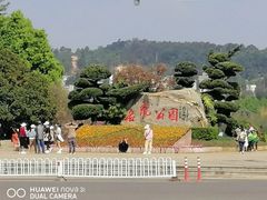 -洛龙公园