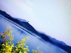 -望湖烤鱼