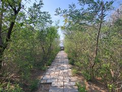 -元大都城垣遗址公园