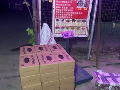 -马陆小张葡萄园农家乐