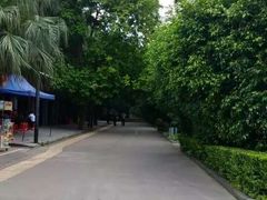 -南宁南湖公园