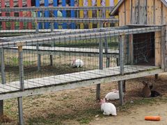 -武汉紫薇都市田园