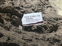 -周口店北京人遗址公园
