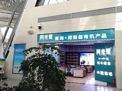 -西宁曹家堡国际机场-T2航站楼