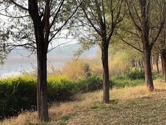 -马家湾湿地公园