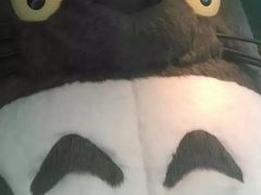 -三鹰之森吉卜力美术馆