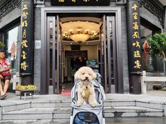 -富春茶社(国庆路店)