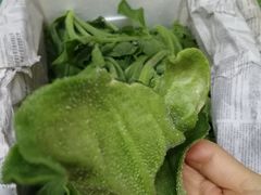 -岳各庄批发市场(西四环中路店)