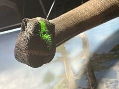 -陕西自然博物馆