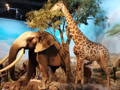 -陕西自然博物馆