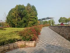 -苏州东太湖生态园