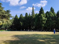 -瀛洲公园