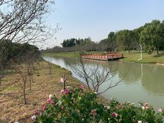 -上海海湾国家森林公园