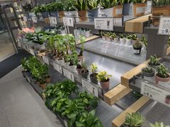 -鹿岛生活(熙地港店)