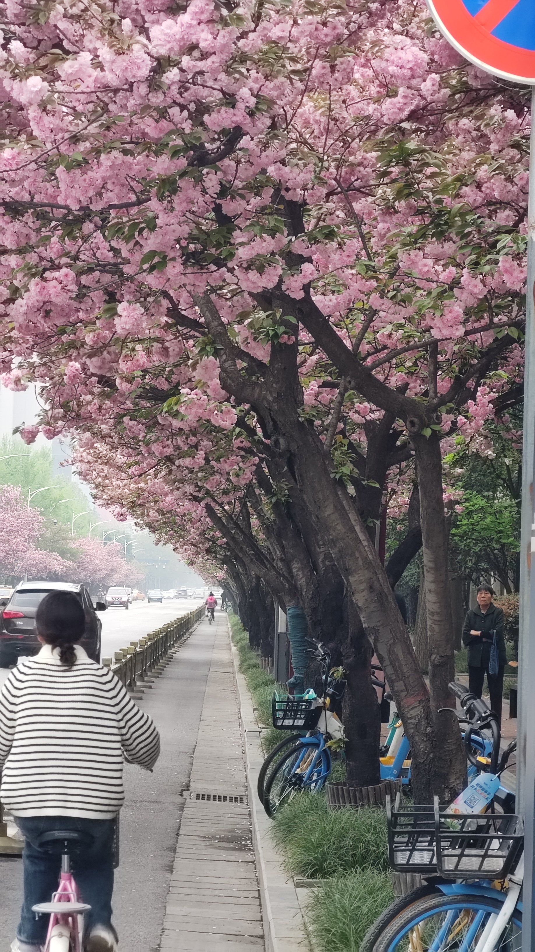 什么叫繁花似锦?
