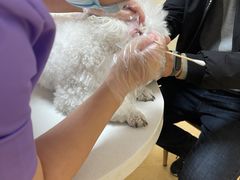 -瑞派宠物医院·24小时骨科·心脏·核磁(哈尔滨南岗店)