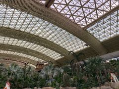 -杭州开元森泊度假乐园