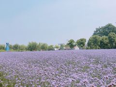 -金色田园农家乐餐厅
