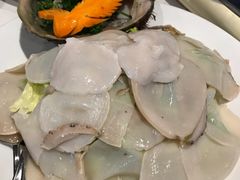 -食为先(Shark Fin)