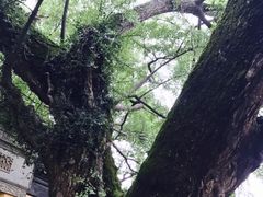 -无锡惠山寺