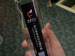 -Mr.Fox狐狸先生超级密室(南山店)
