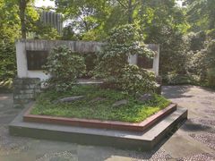 -南山植物园