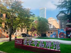 -华山263老字号品牌馆