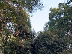 -南山植物园