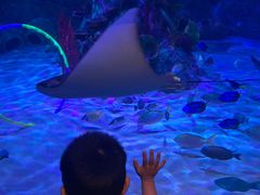 -沈阳海洋探索中心