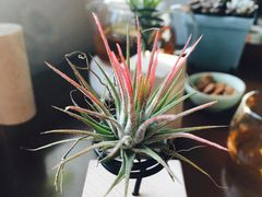 -王尔德与花