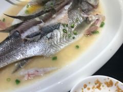 -高第街56号餐厅(银座商城玉函店)