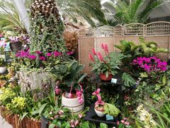 -北京植物园-展览温室