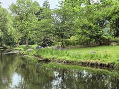 -上海滨江森林公园