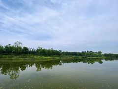 -东郊湿地公园