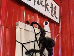 -顽主轰趴馆团建ktv桌游狼人杀(望京店)