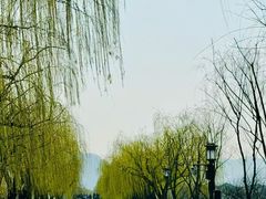 -杭州湖滨in77