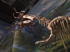 -自贡恐龙博物馆