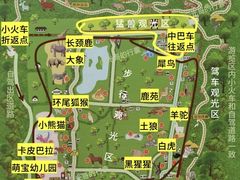 -北京野生动物园