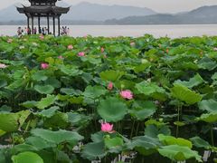 -西湖外事游船(湖滨二公园外事游船码头)