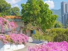 -深圳仙湖植物园-停车场